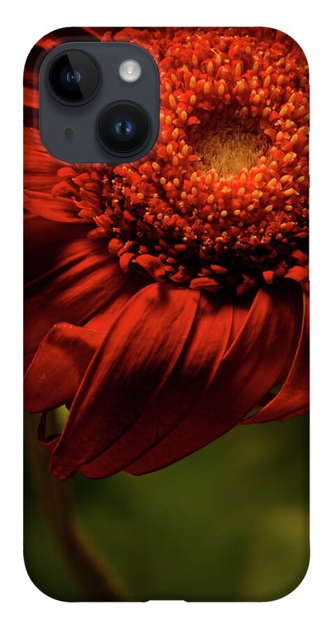 Flower iPhone 14 Case featuring the photograph Daisy 9783 by Julie Powell