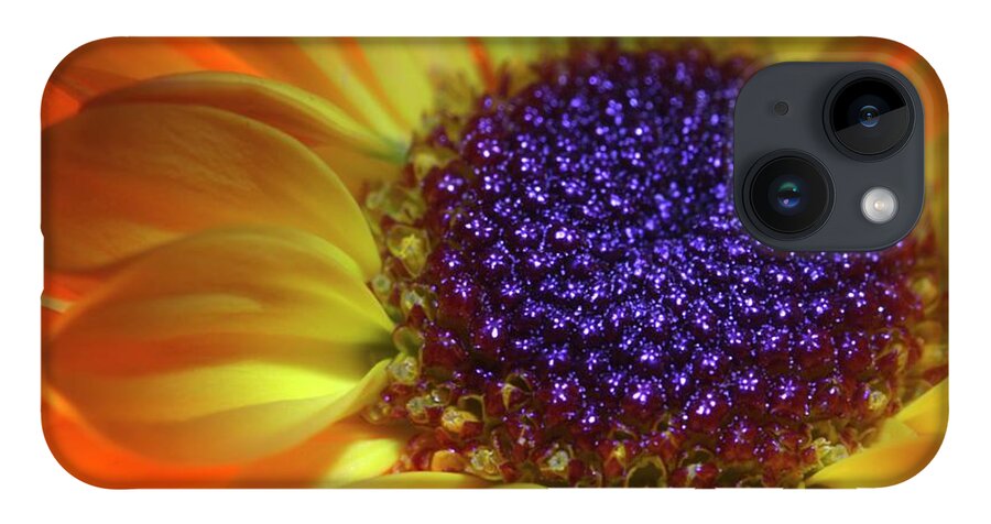 Daisy iPhone 14 Case featuring the photograph Daisy Yellow Orange by Julie Powell