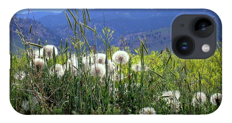 Dandelion iPhone 14 Case featuring the photograph Dandelions and Mountains by Kathryn Alexander MA