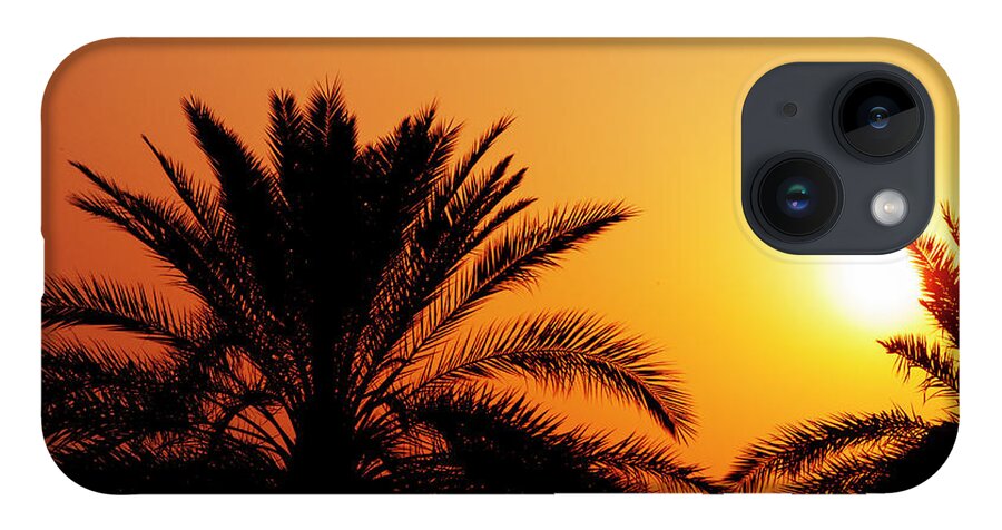 Dubai iPhone 14 Case featuring the photograph Date palm tree silhouette at beautiful sunset in Dubai by Jelena Jovanovic