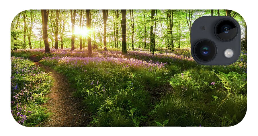 Path iPhone 14 Case featuring the photograph Dawn sunrise in bluebell forest in England by Simon Bratt