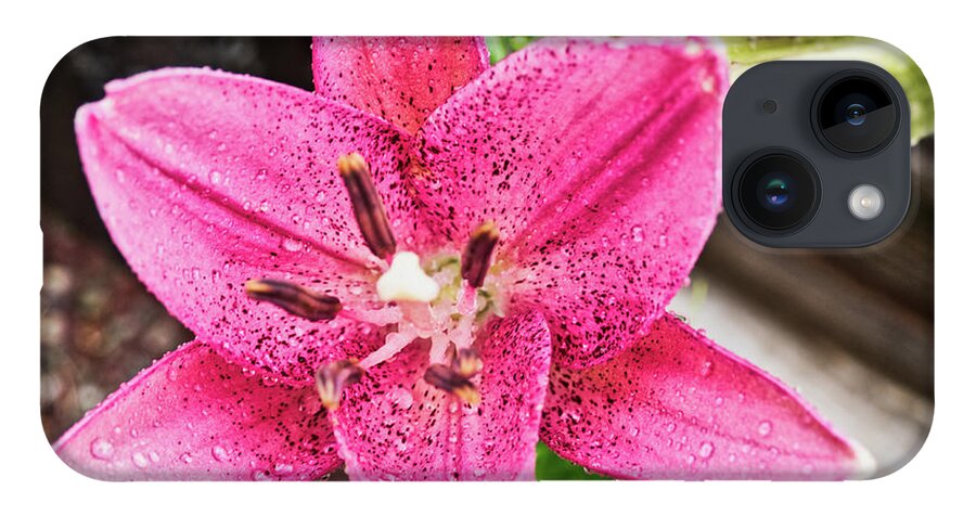 Flora iPhone 14 Case featuring the photograph Day lily with water drops by Segura Shaw Photography