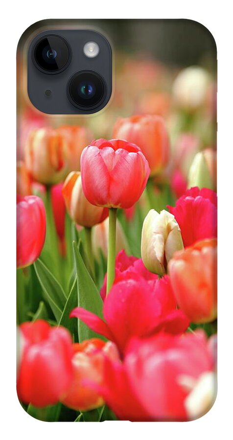 Nature iPhone 14 Case featuring the photograph Delicate by Lens Art Photography By Larry Trager