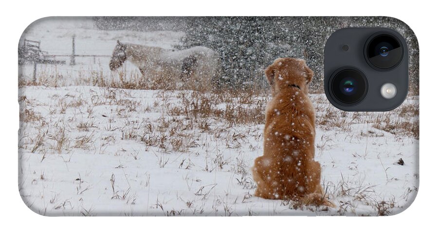 Snow iPhone 14 Case featuring the photograph Dog And Horses In The Snow by Karen Rispin