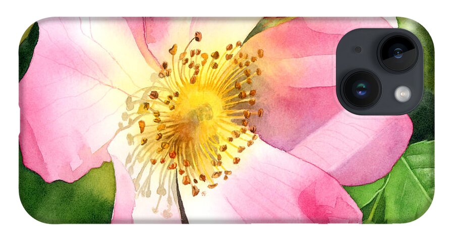 Rose iPhone 14 Case featuring the painting Dog Rose by Espero Art