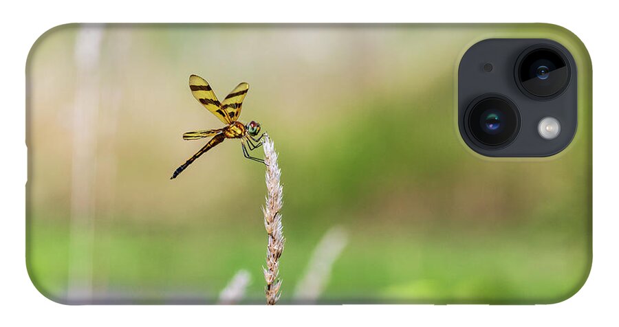 Animals iPhone 14 Case featuring the photograph Dragonfly Nature Photography by Amelia Pearn