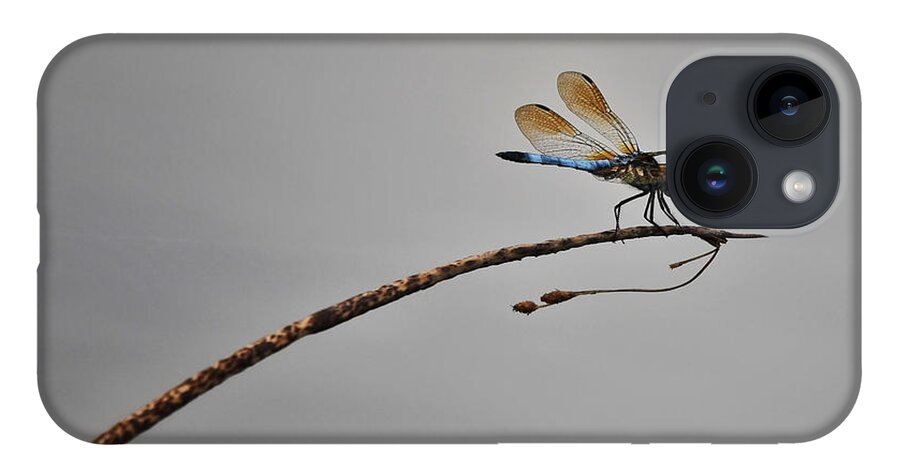 Photo iPhone 14 Case featuring the photograph Dragonfly Over Lake by Evan Foster