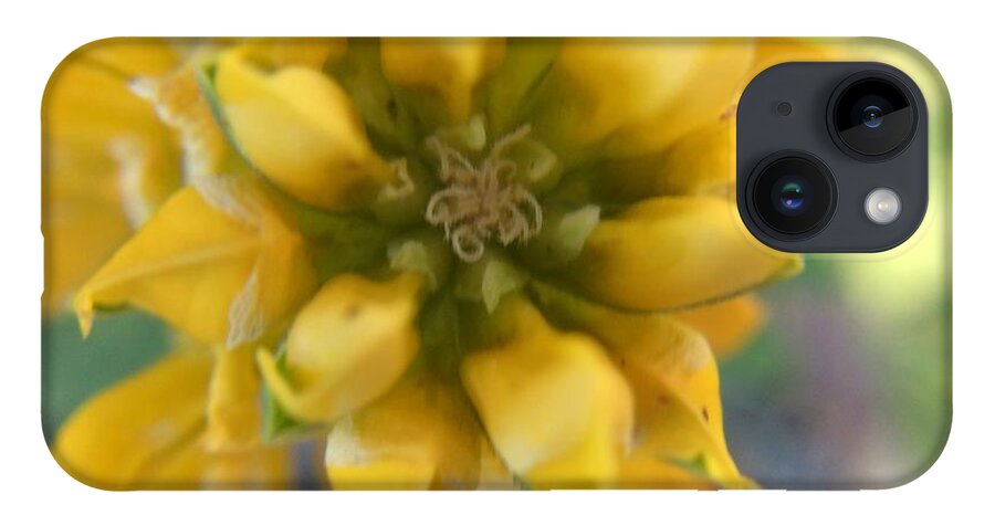 Yellow Rose iPhone 14 Case featuring the photograph Dreamy Yellow Rose by Vivian Aumond