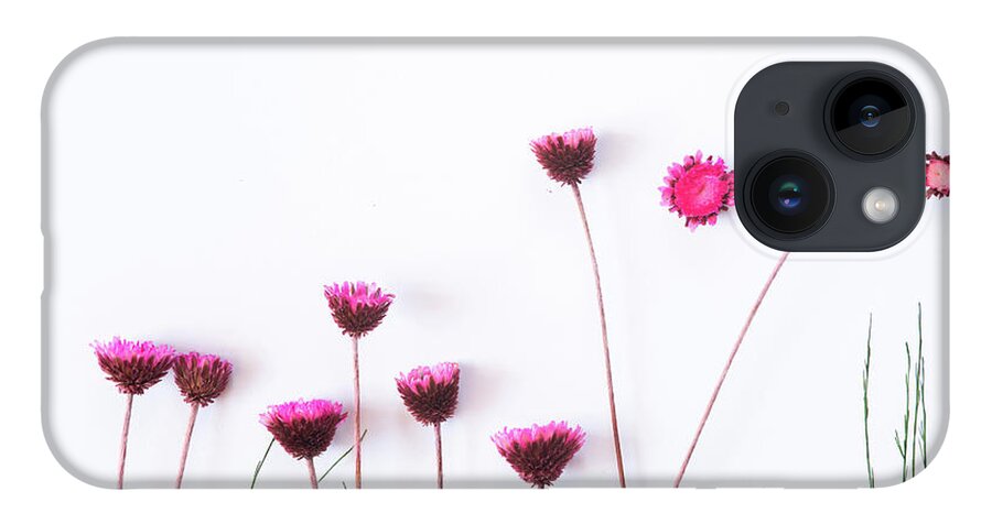 Dry Flowers iPhone 14 Case featuring the photograph Dry purple floral bouquet on white background. by Michalakis Ppalis
