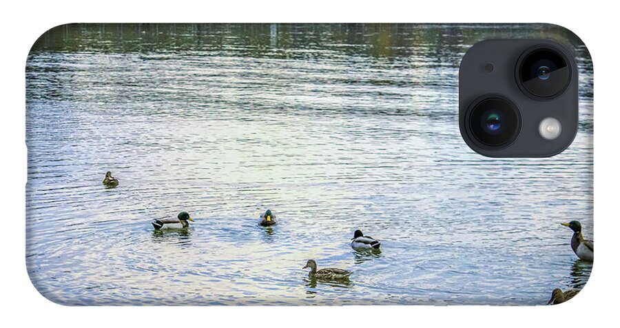 Animals iPhone Case featuring the photograph Ducks on the lake by Anamar Pictures