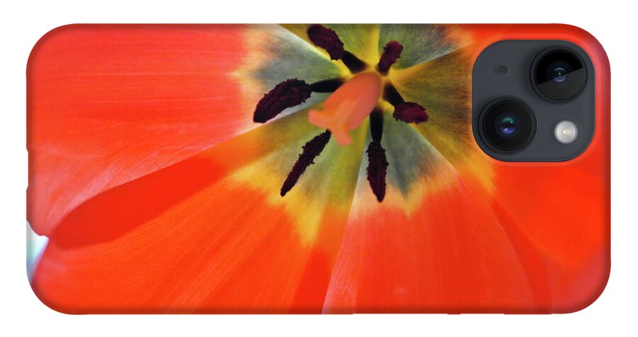 Tulip iPhone 14 Case featuring the photograph Dutch Umbrella by Michele Myers
