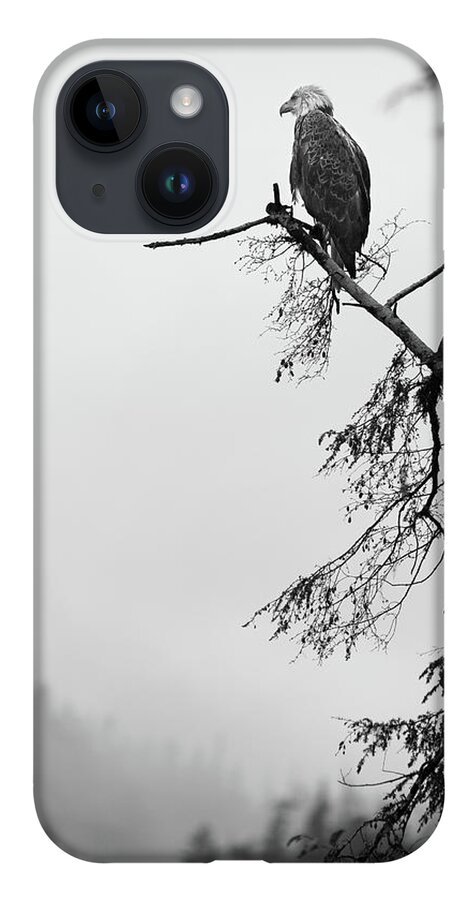  iPhone 14 Case featuring the photograph Eagle Black and White by Michael Rauwolf