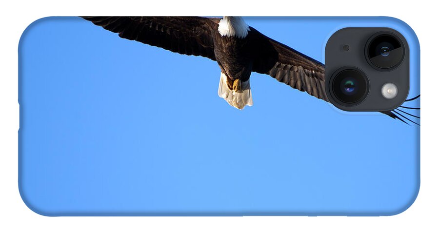 Eagle iPhone Case featuring the photograph Eagle Fly Over by Flinn Hackett