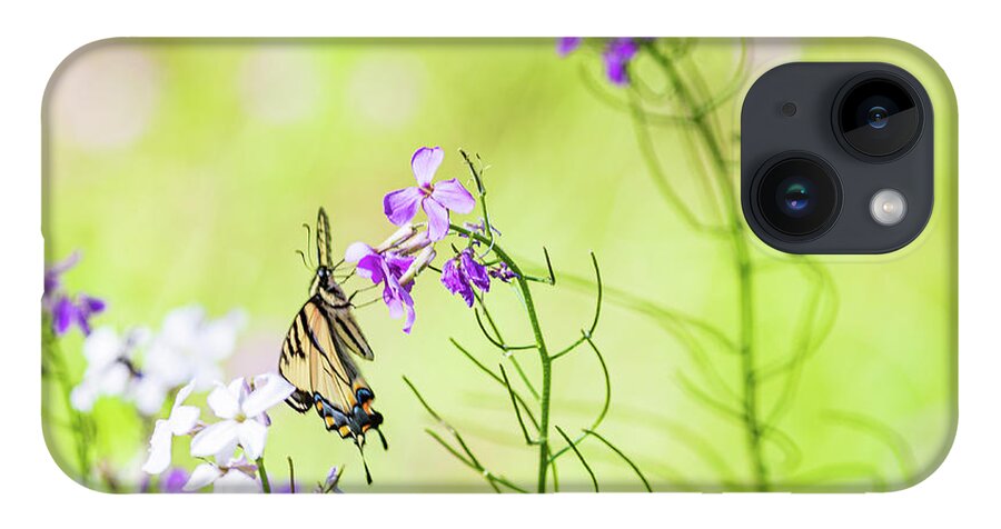 Animals iPhone 14 Case featuring the photograph Eastern Tiger Swallowtail Butterfly - Nature Photography by Amelia Pearn