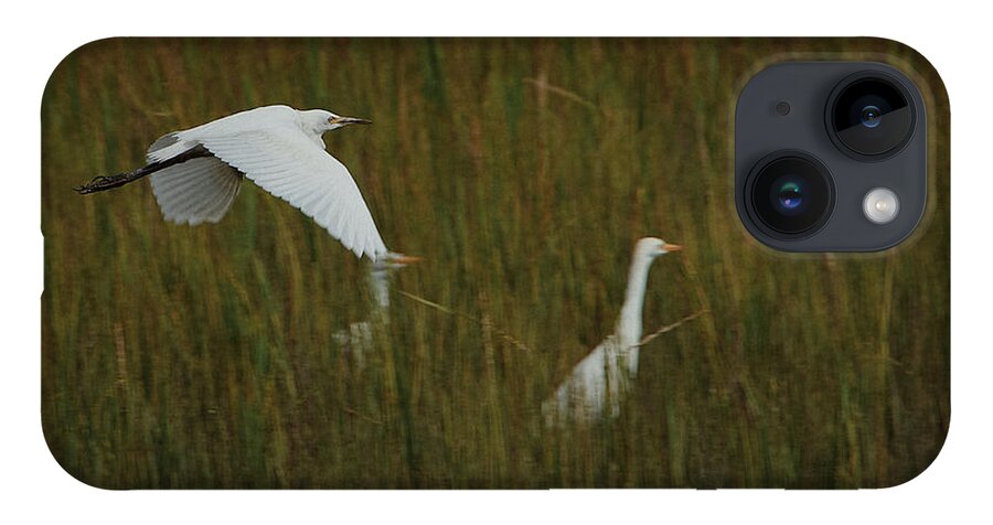 Georgia iPhone 14 Case featuring the photograph Egrets Fish in the Marshes of Glynn by John Simmons