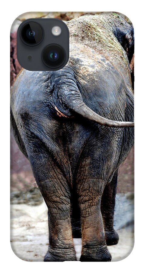 Elephant iPhone 14 Case featuring the photograph Elephant Photo 144 by Lucie Dumas