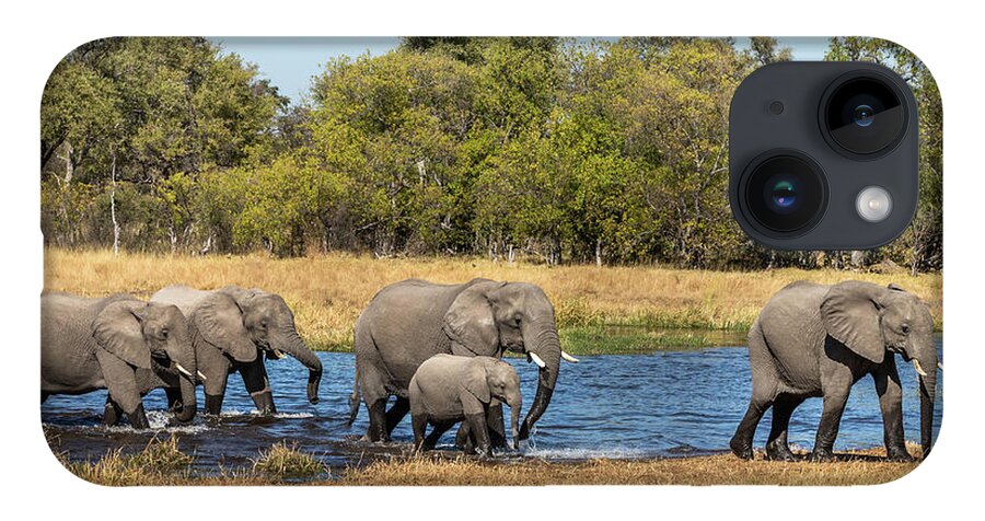 African Elephants iPhone 14 Case featuring the photograph Elephants Crossing the River by Elvira Peretsman
