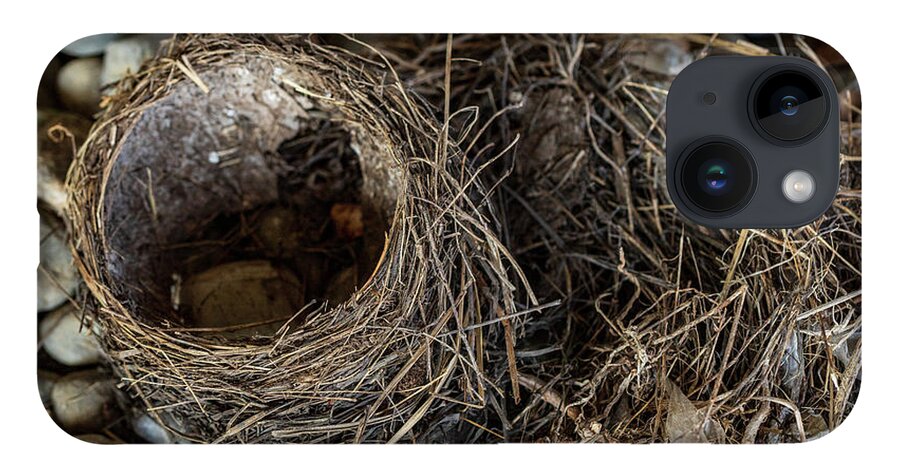 Animals iPhone Case featuring the photograph Empty Nest - Wildlife Photography 2 by Amelia Pearn