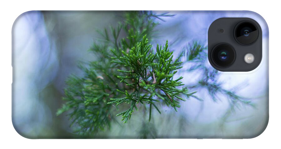 Tree iPhone 14 Case featuring the photograph Evergreen by David Beechum