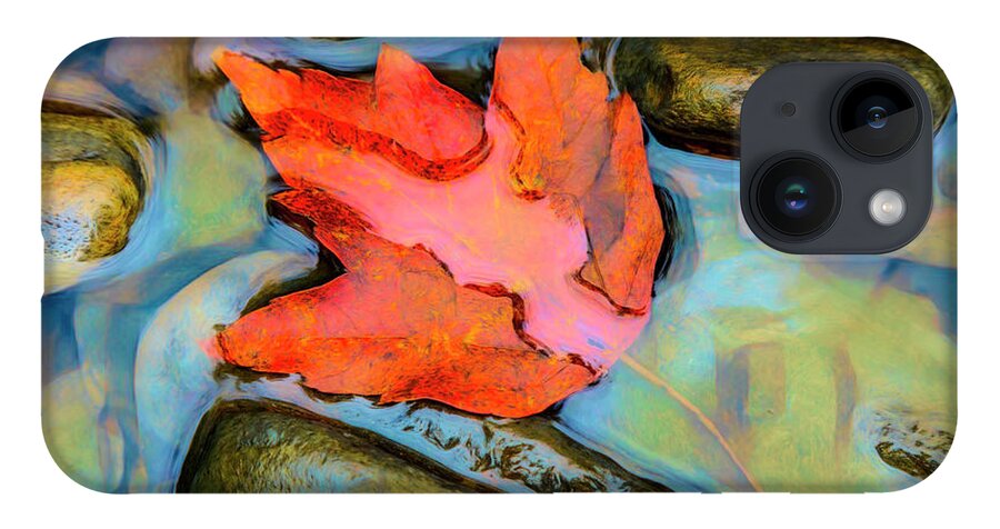 Carolina iPhone 14 Case featuring the photograph Fall Float Painting by Debra and Dave Vanderlaan