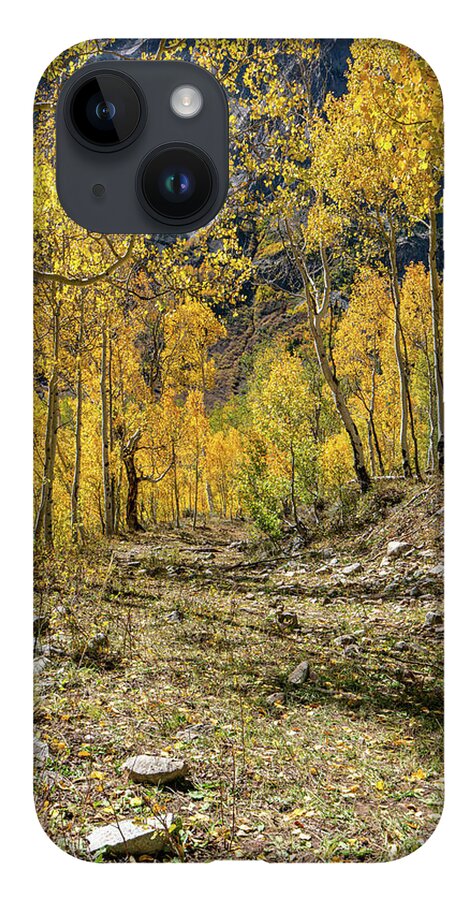 Aspens iPhone 14 Case featuring the photograph Fall Mountain Road by Ron Long Ltd Photography