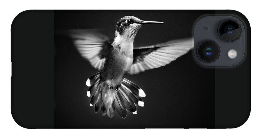 Hummingbird iPhone 14 Case featuring the photograph Fantail Hummingbird by Christina Rollo