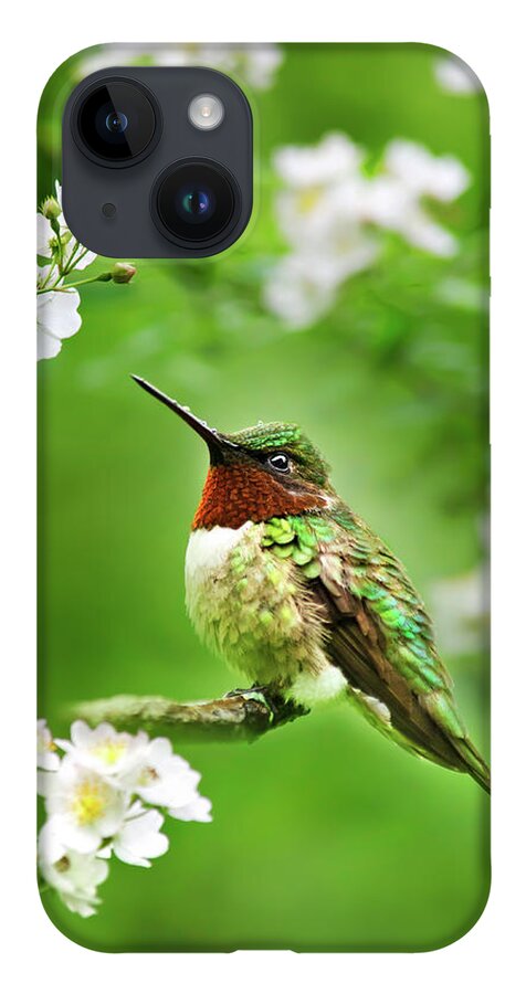 Hummingbird iPhone 14 Case featuring the photograph Fauna and Flora - Hummingbird with Flowers by Christina Rollo