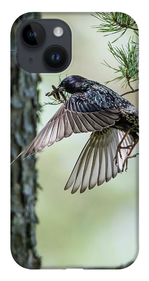 Feeding Flying Starling iPhone 14 Case featuring the photograph Feeding Flying Starling by Torbjorn Swenelius