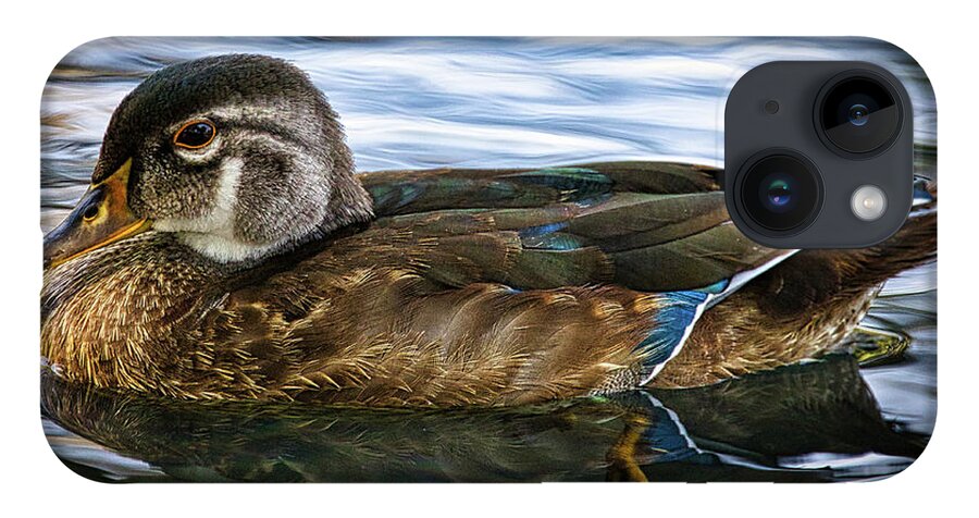 Duck iPhone 14 Case featuring the photograph Female Drake Duck by Rene Vasquez