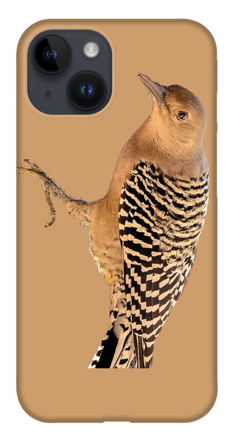 Animal iPhone 14 Case featuring the photograph Female Gila Woodpecker 220930 by Mark Myhaver