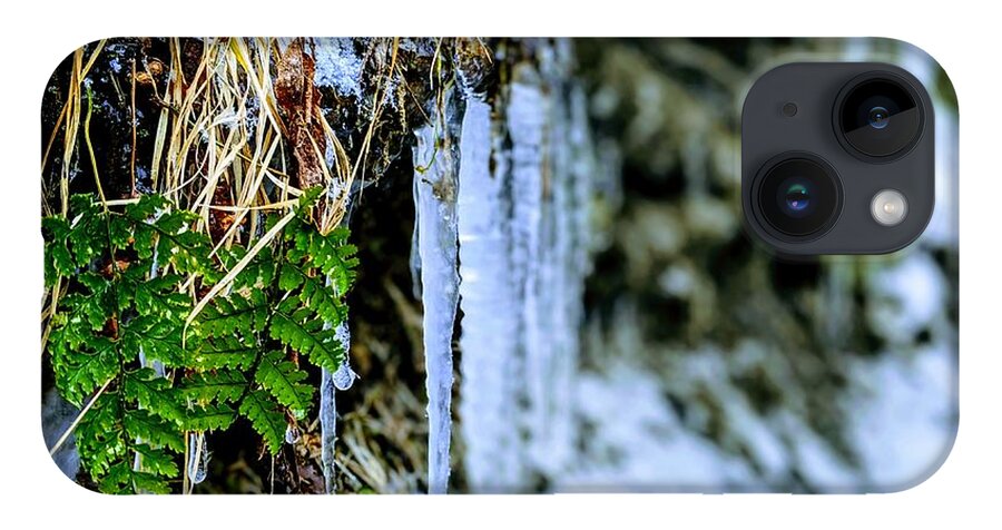  iPhone 14 Case featuring the photograph Fern and Icicles by Brad Nellis