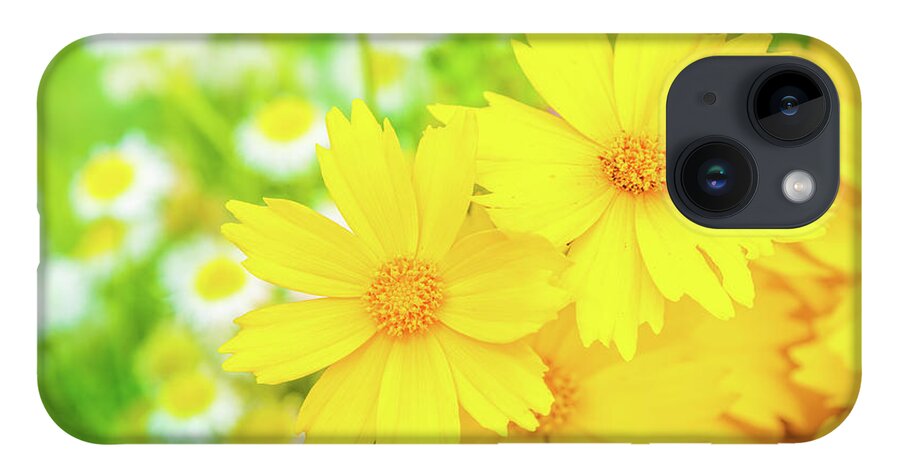 Flowers iPhone 14 Case featuring the photograph Field Of Spring Flowers by Jordan Hill