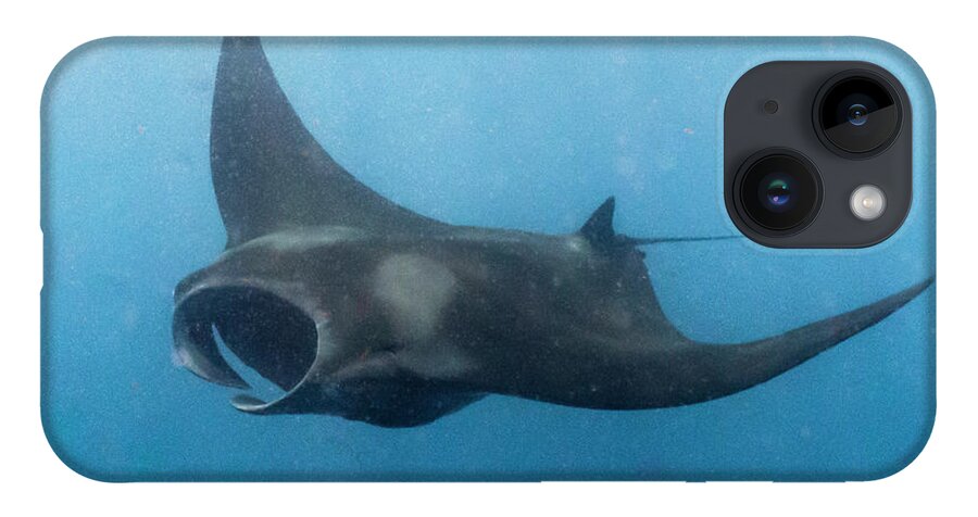 Animals iPhone 14 Case featuring the photograph Final Approach by Lynne Browne