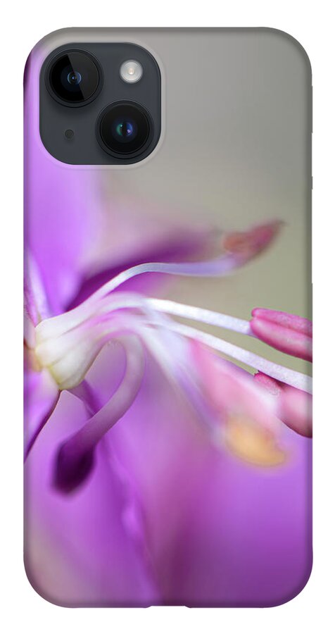 Fireweed iPhone 14 Case featuring the photograph Fireweed Close Up by Karen Rispin