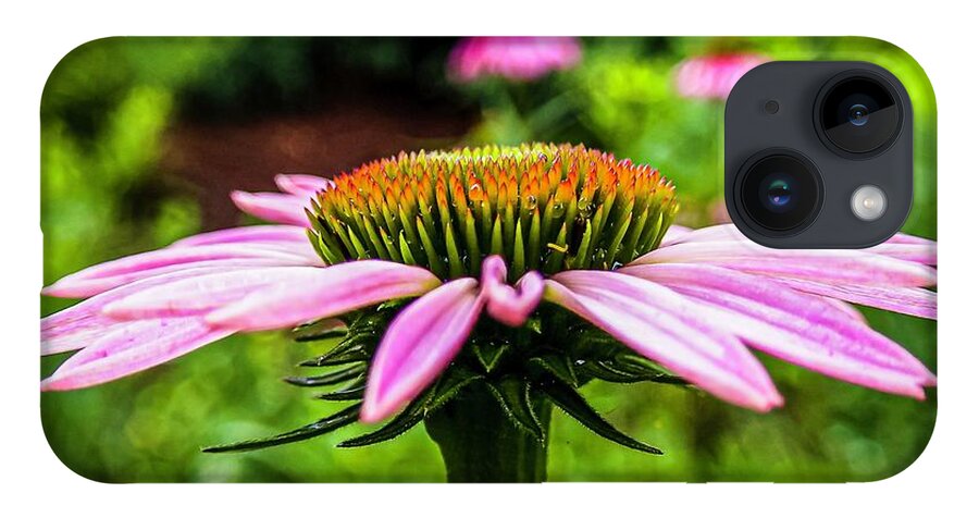 Flower iPhone Case featuring the photograph Flower after the rain by Rick Nelson