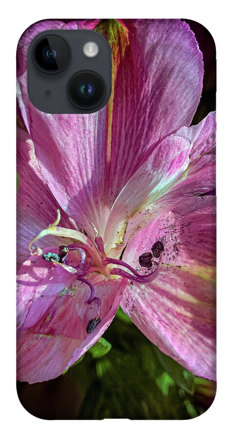 Flower iPhone Case featuring the photograph Flowers in the sun by Jim Feldman
