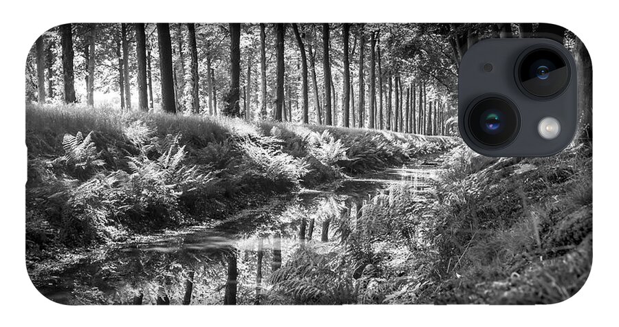 Black&white iPhone 14 Case featuring the photograph Forest by MPhotographer