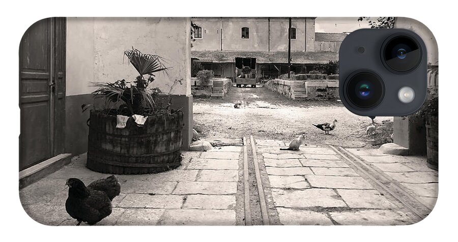 Chickens iPhone 14 Case featuring the photograph Free Range on the Farm by Michael Gerbino