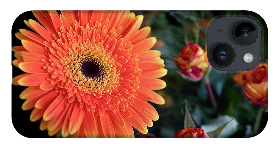 Daisies iPhone 14 Case featuring the photograph Fresh beautiful orange daisy flower blossom. Blooming flower by Michalakis Ppalis