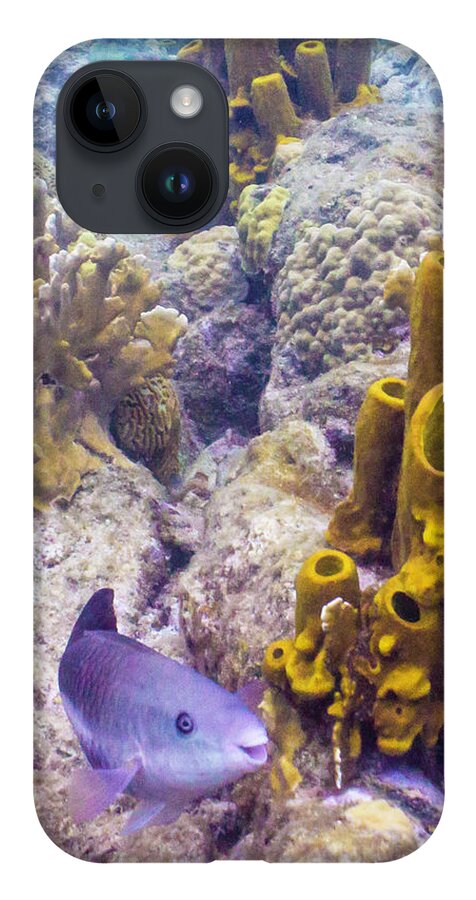 Ocean iPhone 14 Case featuring the photograph Friendly Queen by Lynne Browne