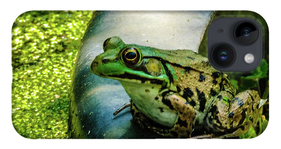 Animals iPhone Case featuring the photograph Frog Hollow by Louis Dallara