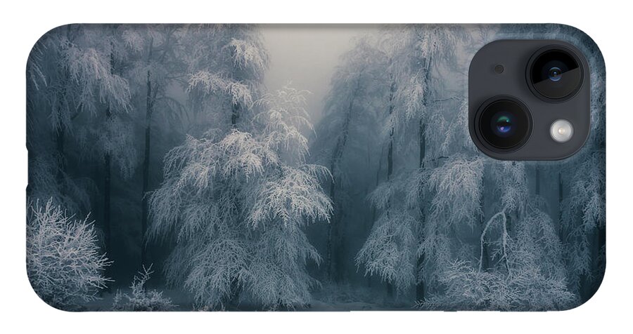 Mountain iPhone 14 Case featuring the photograph Frozen Forest by Evgeni Dinev