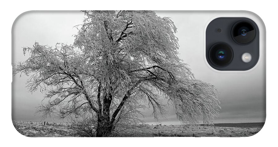 Frozen iPhone 14 Case featuring the photograph Frozen Tree-Black and White by Steve Templeton
