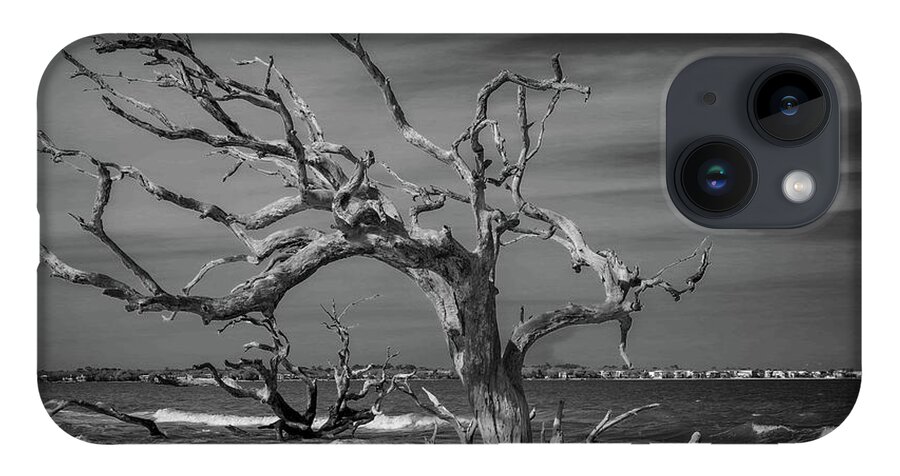 Monochrome iPhone 14 Case featuring the photograph Ghost Tree by Stephen Sloan
