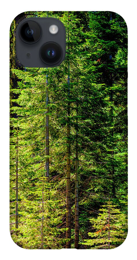 Sequoia Trees iPhone 14 Case featuring the photograph Mariposa Grove in Yosemite by Lindsay Thomson
