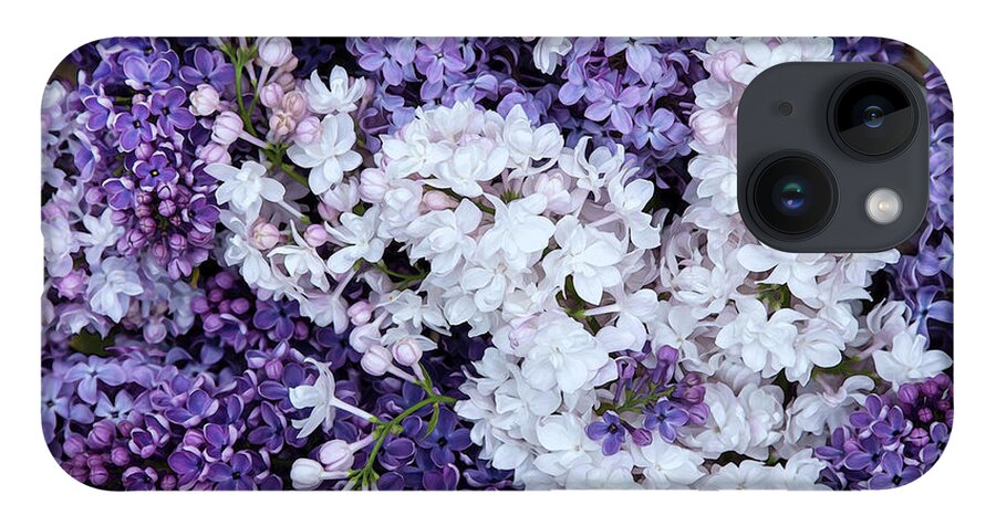 Face Mask iPhone Case featuring the photograph Glorious Lilacs by Theresa Tahara