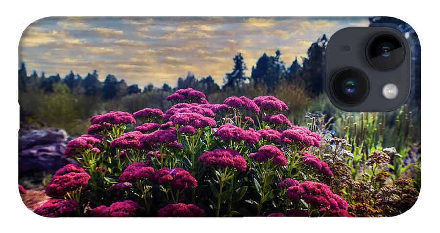Summer iPhone 14 Case featuring the photograph Glow of Summer by Laura Putman