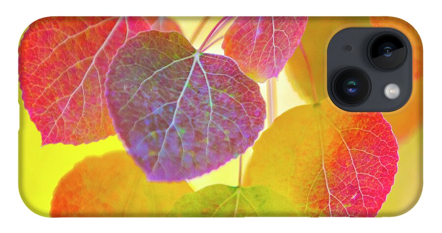 Aspen-trees iPhone Case featuring the photograph Glowing Aspen by Gary Johnson