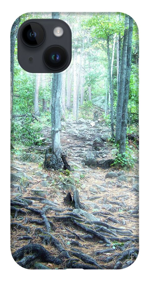 Sugarloaf Mountain iPhone 14 Case featuring the photograph Glowing Forest Trail by Phil Perkins