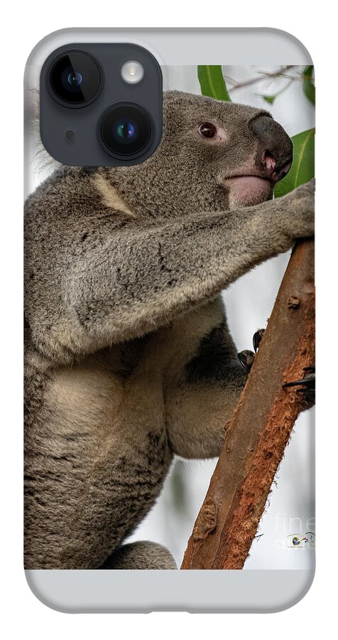 San Diego Zoo iPhone Case featuring the photograph Going Up by David Levin